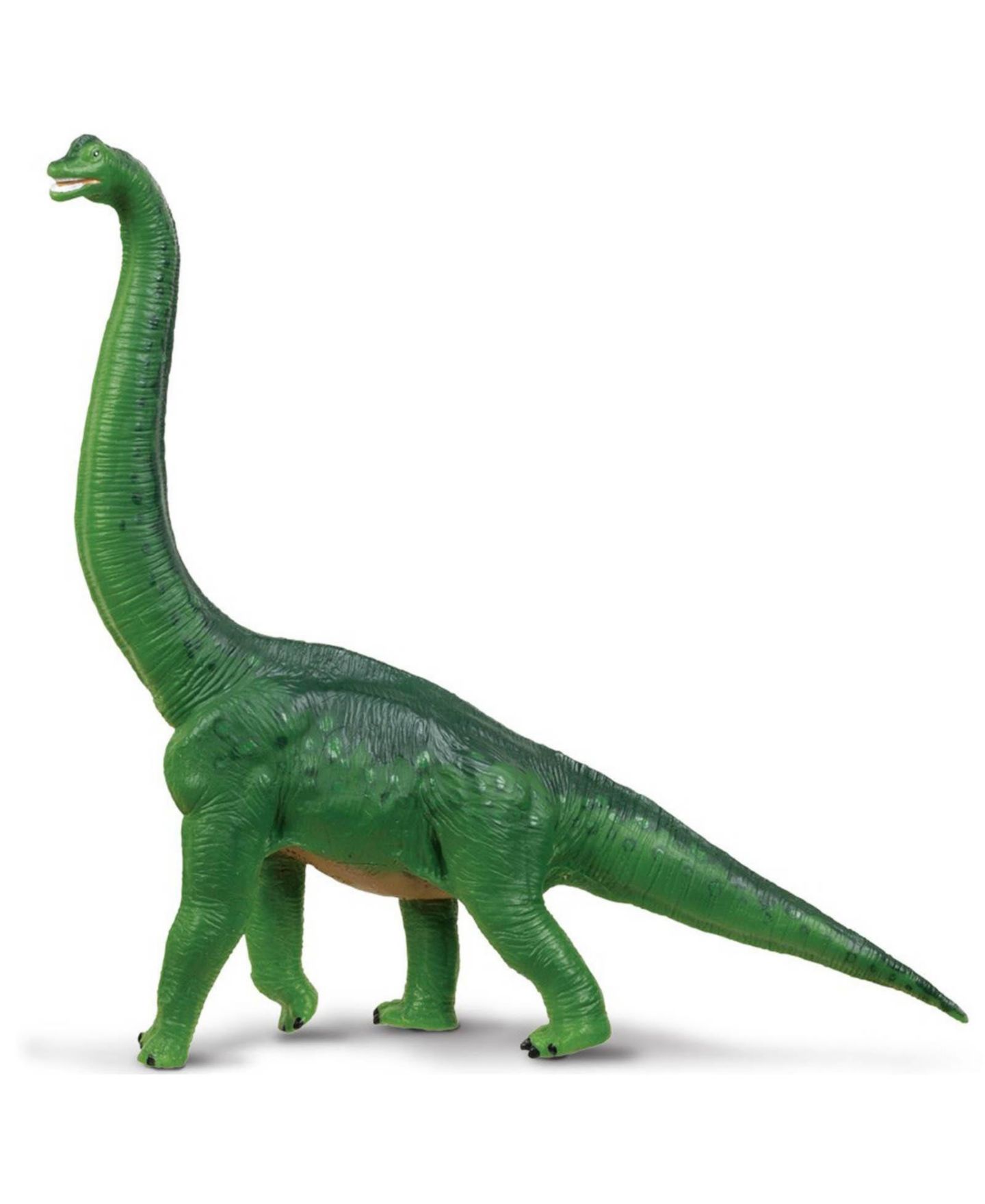 Детская фигурка Safari Ltd Brachiosaurus Green Wild Safari Dinosaurs Figure — фото 1