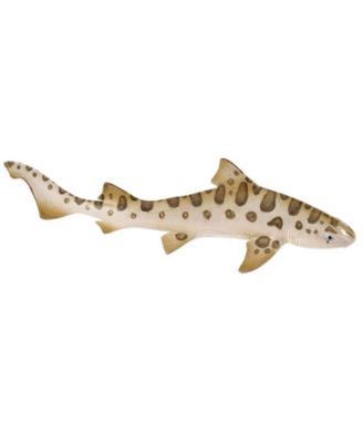 Leopard Shark Sea Life