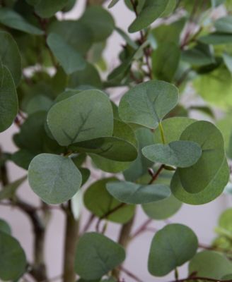 72" Artificial Eucalyptus Tree with Decorative Planter