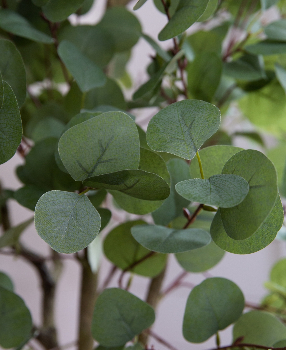Nearly Natural Artificial Eucalyptus Tree In Green