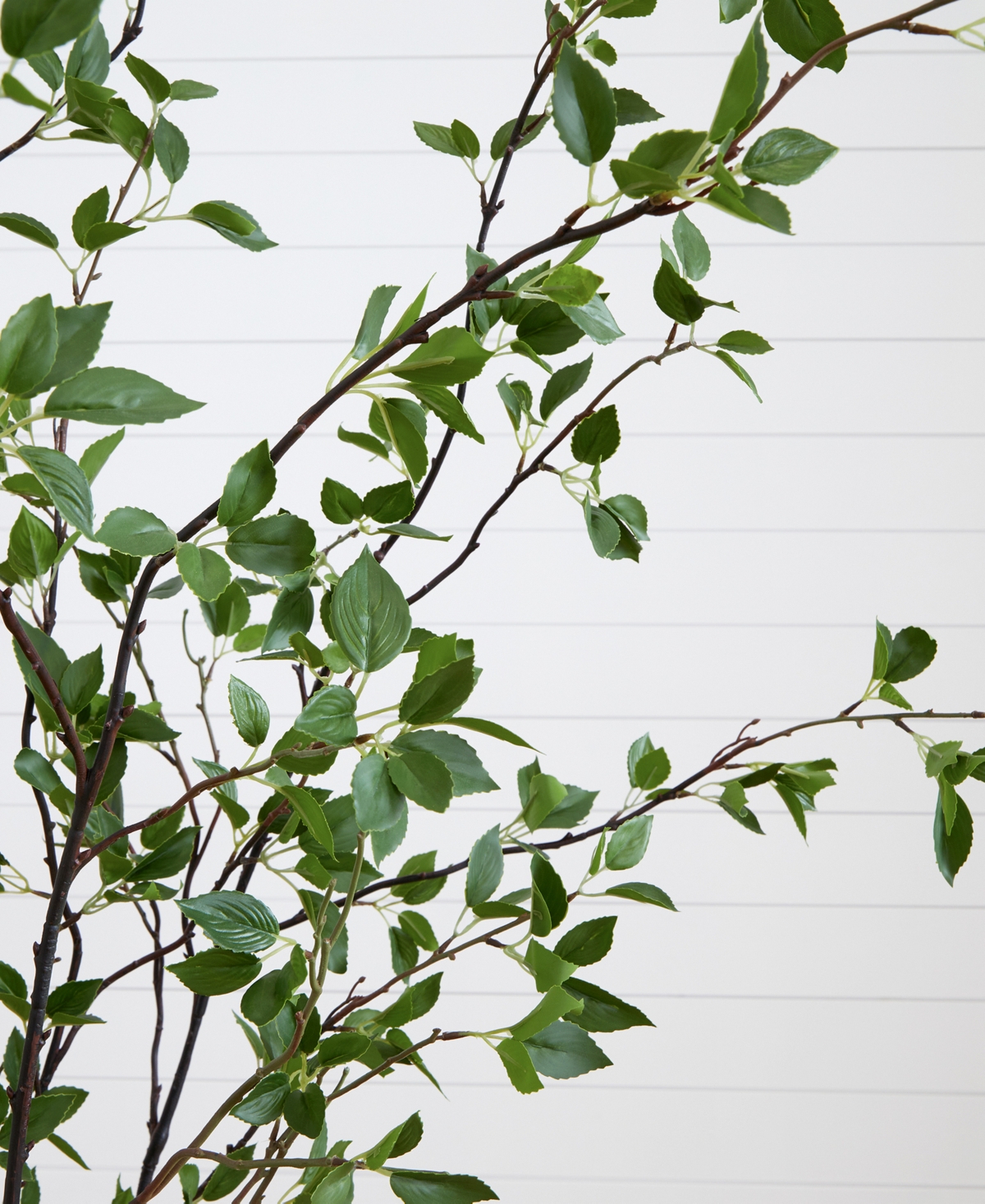 Shop Nearly Natural 84" Minimalist Citrus Artificial Tree In Green