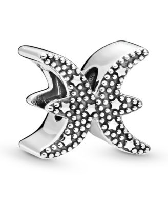 Sterling Silver Zodiac Charm