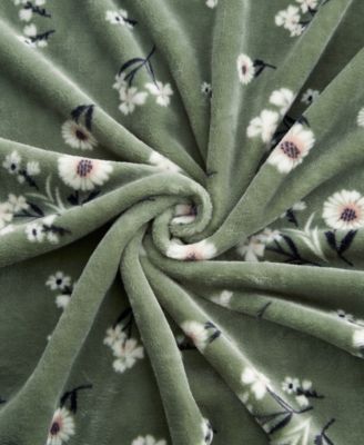 Daisy Floral Cozy Plush Throw, 50" x 70"