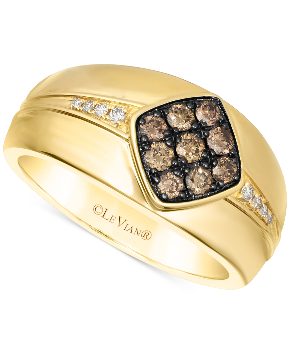 Men's Chocolate Diamond & Nude Diamond Cluster Ring (1/2 ct. t.w.) in 14k Gold - K Honey Gold Ring