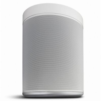 WX-021WH MusicCast 20 Wireless Speaker