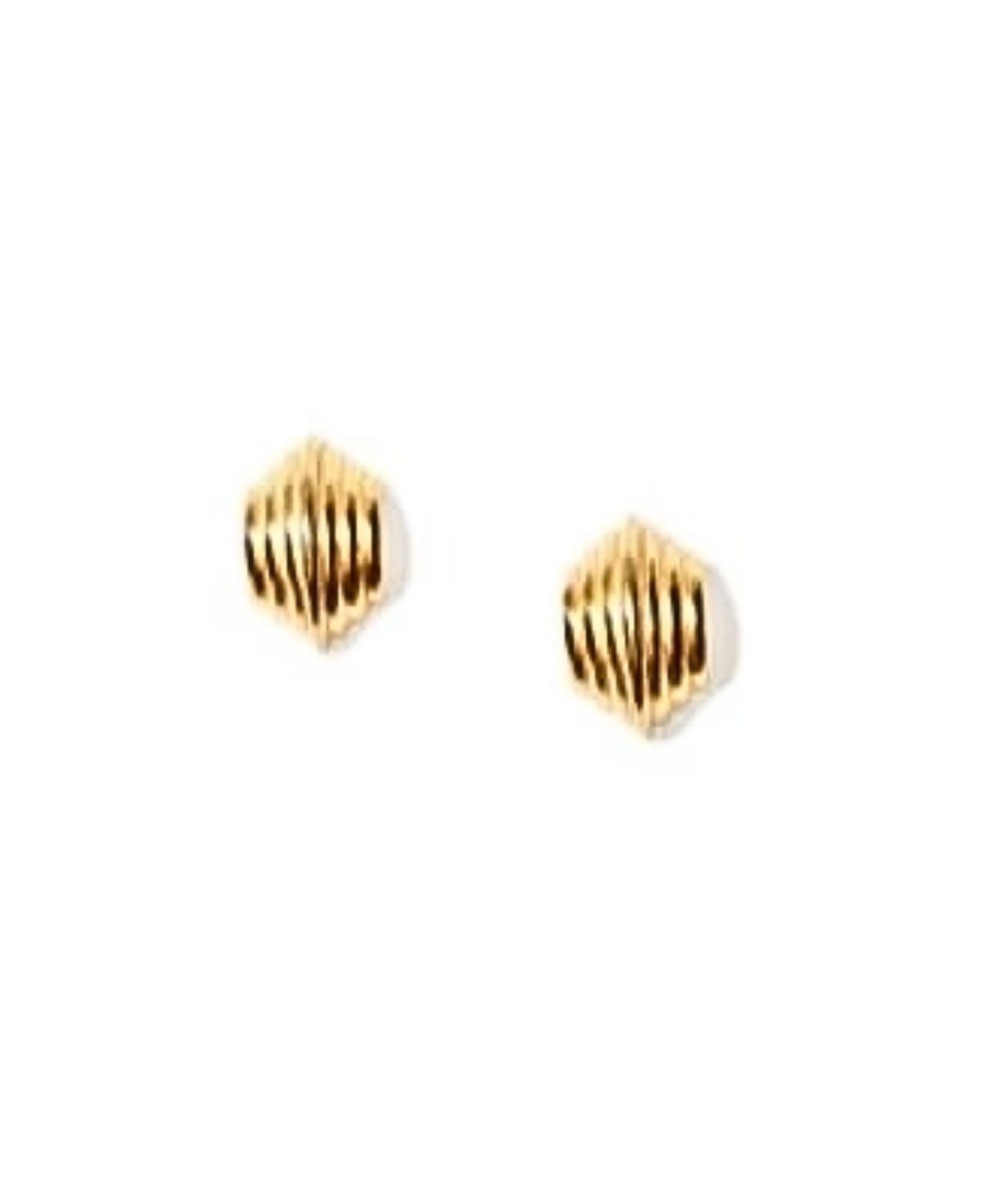 Solid Seashell Stud Earrings - Gold