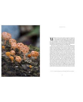 Entangled Life- The Illustrated Edition- How Fungi Make Our Worlds by Merlin Sheldrake