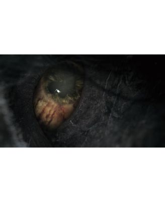 Bloodborne Game of the Year Edition (Pegi) - PlayStation 4