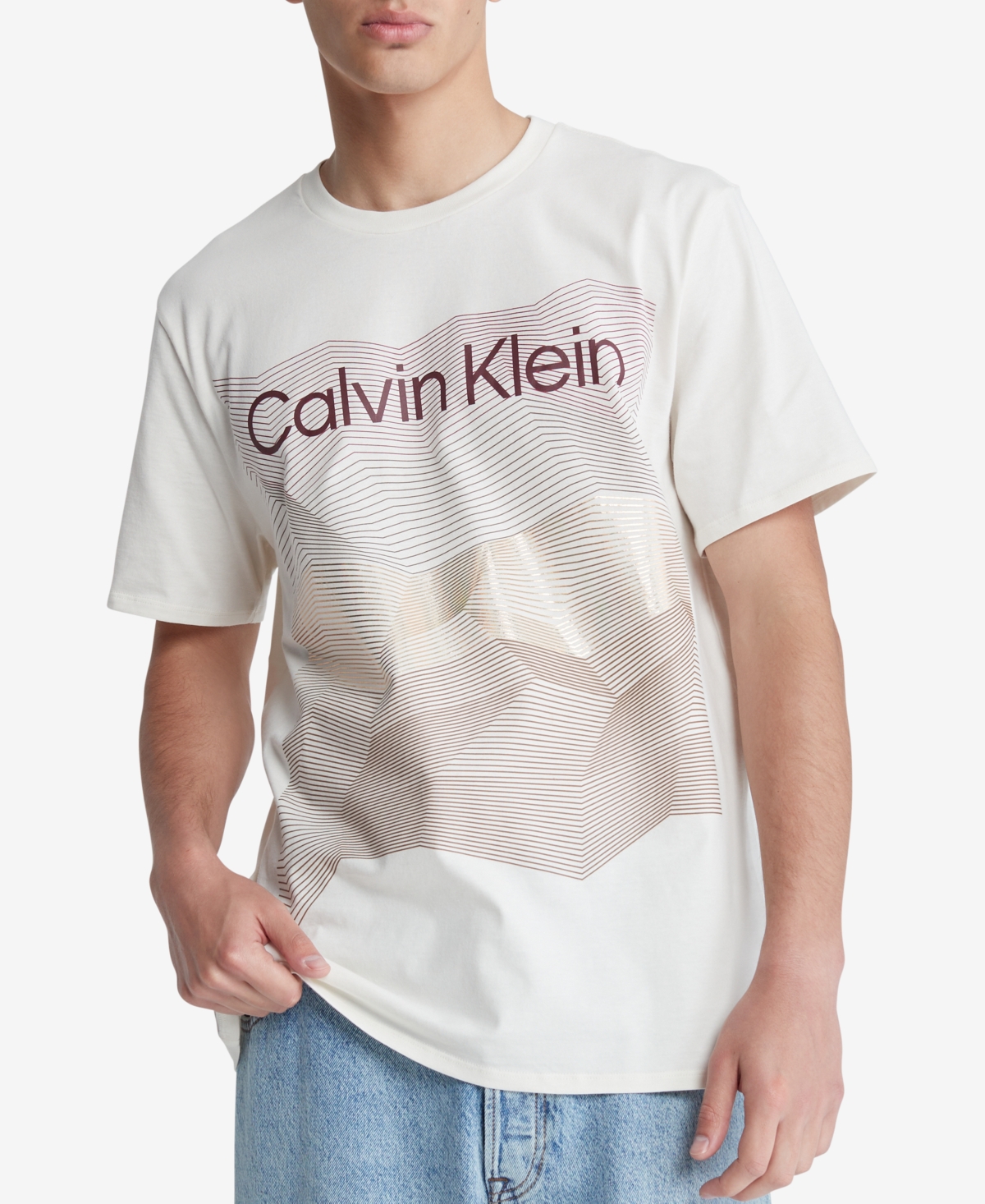 Calvin Klein Men's Short Sleeve Crewneck Metallic Abstract Graphic T-shirt In Egret