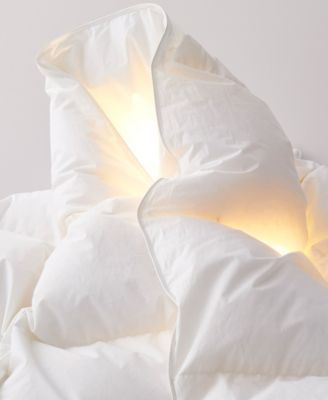 800 Fill Power European White Goose Down Heavyweight Duvet, Full/Queen