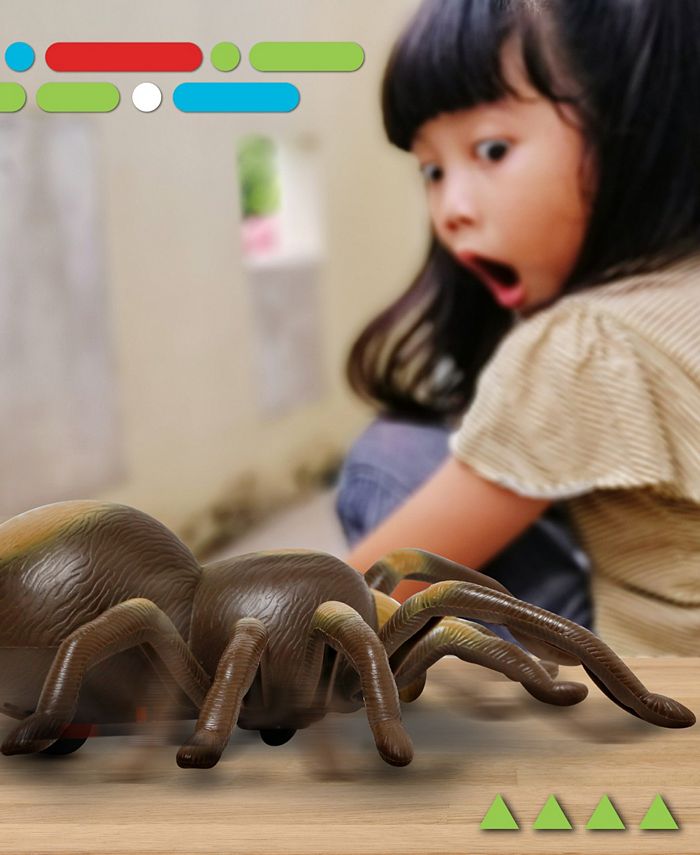 Discovery Kids Remote Control Moving Tarantula Spider Toy - Macy's