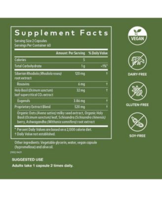 Adrenal Health Daily Support - With Ashwagandha, Holy Basil & Schisandra - Herbal Supplement to Help Maintain Healthy Energy and Stress Levels - 120 Liquid Phyto-Capsules (120 Count)