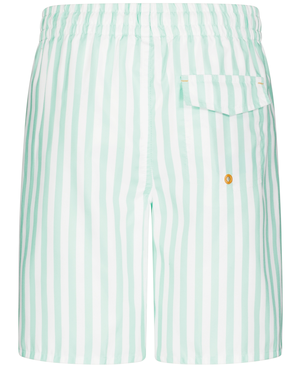Laguna Big Boys Cabana Stripe Volley Swim Shorts