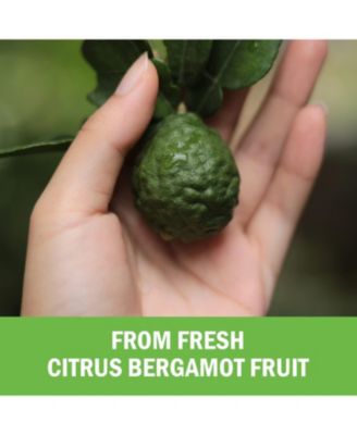 Citrus Bergamot Extract 1000mg - Ultra 25:1 Extract, Enhanced Absorption - Gluten-Free Non-GMO - USA, 120 Ct