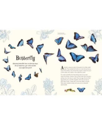 An Anthology of Intriguing Animals by DK