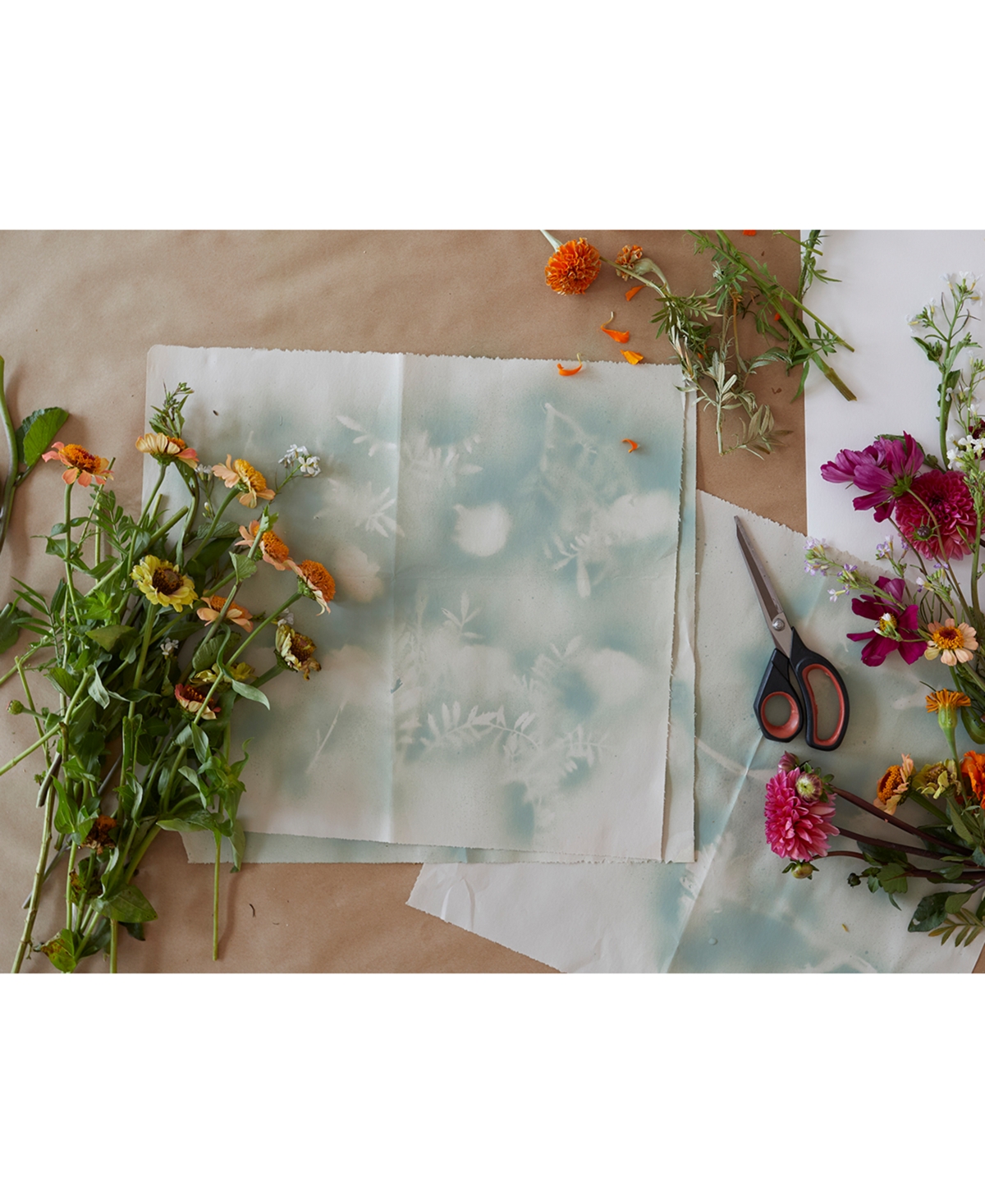 Shop Chilewich Botanic Rectangular Placemat, 14" X 19" In Sesame