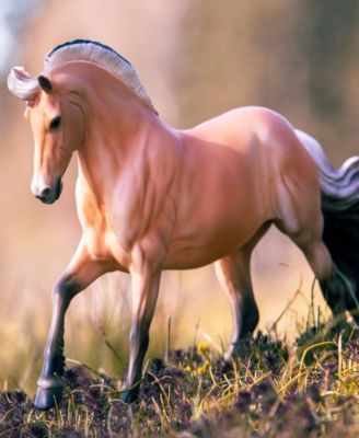 Horses Sweetwater Zorah Bell "Zoobie"