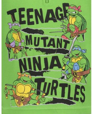 Leonardo Michelangelo Raphael Half Zip Hoodie Toddler|Child Boys