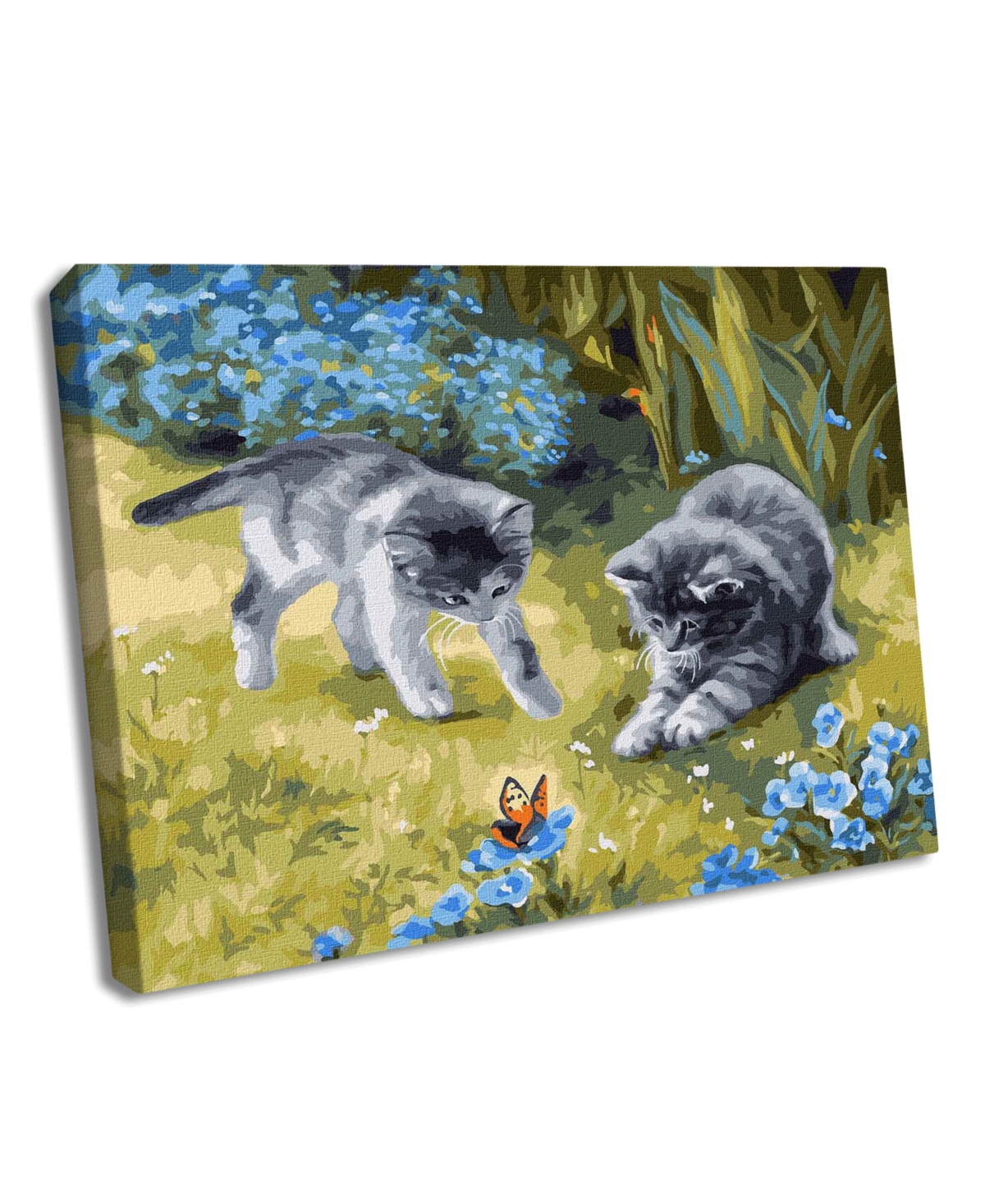 Painting by Numbers kit Cats in the garden - Assorted Pre-Pack