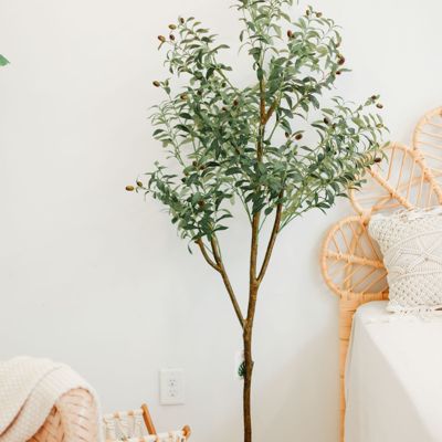 6ft Artificial Olive Tree with Woven Seagrass Plant Basket