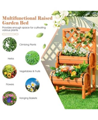 2-Tier Raised Garden Bed with 2 Cylindrical Planter Boxes and Trellis