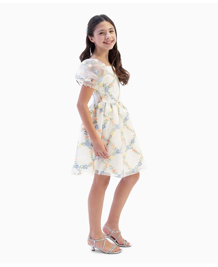 Rare Editions Big Girls Embroidered Organza Social Dress - Macy's