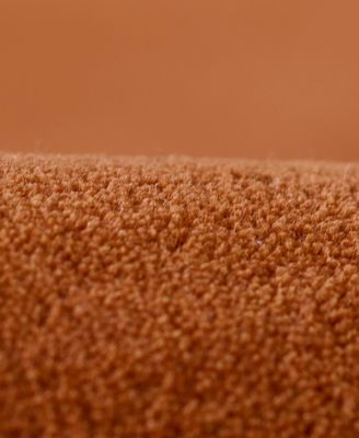 Tallulah TAL-1 2' x 4' Area Rug