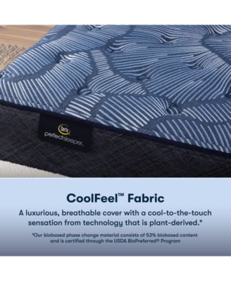 Perfect Sleeper Cobalt Calm 13" Plush Mattress Set, Queen Split