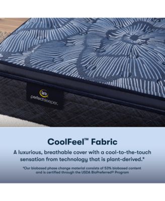 Perfect Sleeper Cobalt Calm 14" Medium Pillow Top Mattress Set, Queen Split