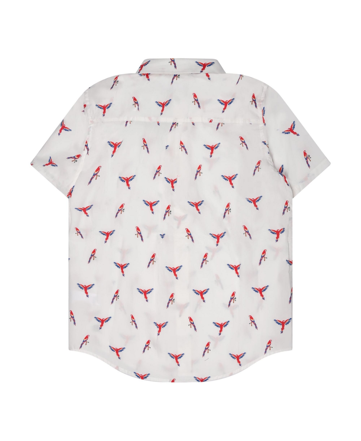 B by Brooks Brothers Big Boys Parrot Print Woven Short Sleeve Poplin Shirt