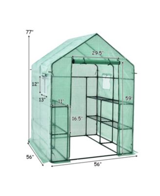 Walk-in Greenhouse 56 x 56 x 77 Inch Gardening with Observation Windows