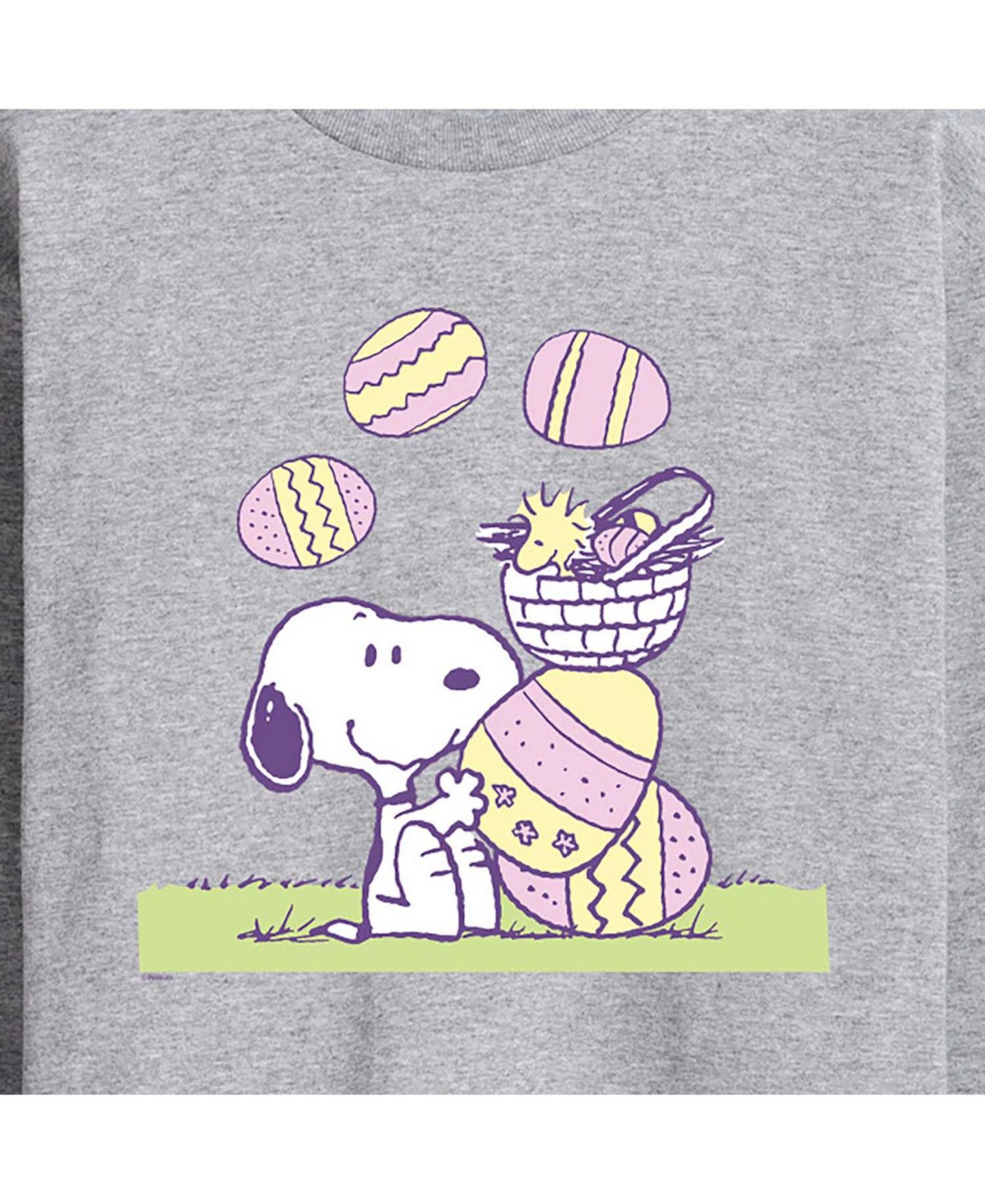 Мужские футболки AIRWAVES Peanuts Long Sleeve, цвет: Серый — фото 3