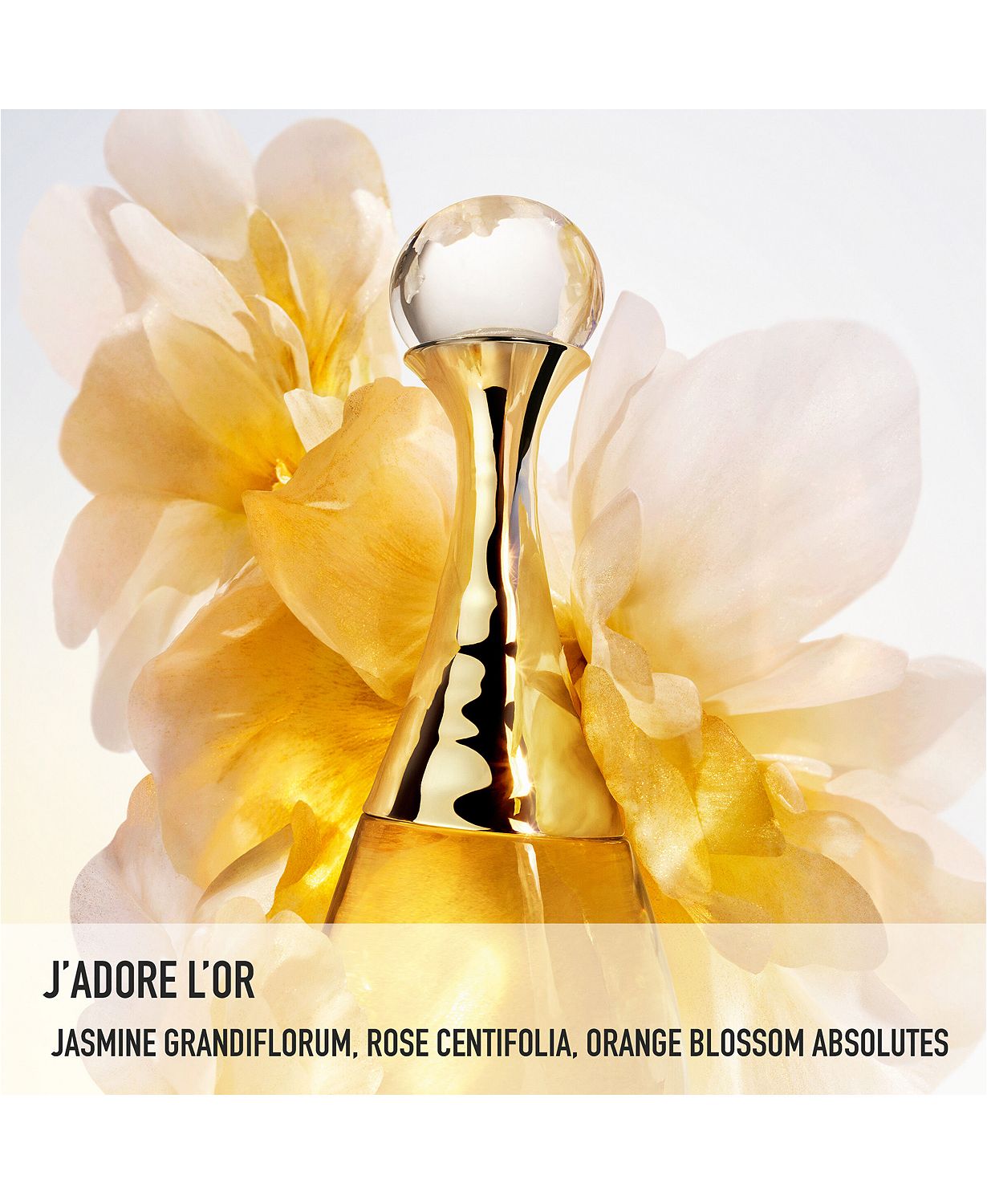 J'adore l'Or Essence de Parfum, 1.7 oz.