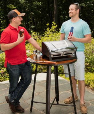 Grillster Portable Gas Grill CGG-059