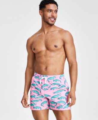 Fashion chubbies flamingo shorts