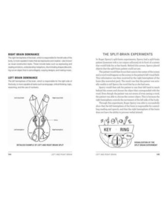 Psych 101- Psychology Facts, Basics, Statistics, Tests, and More by Paul Kleinman