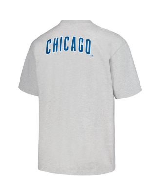 Men's Gray Chicago Cubs Mascot T-shirt