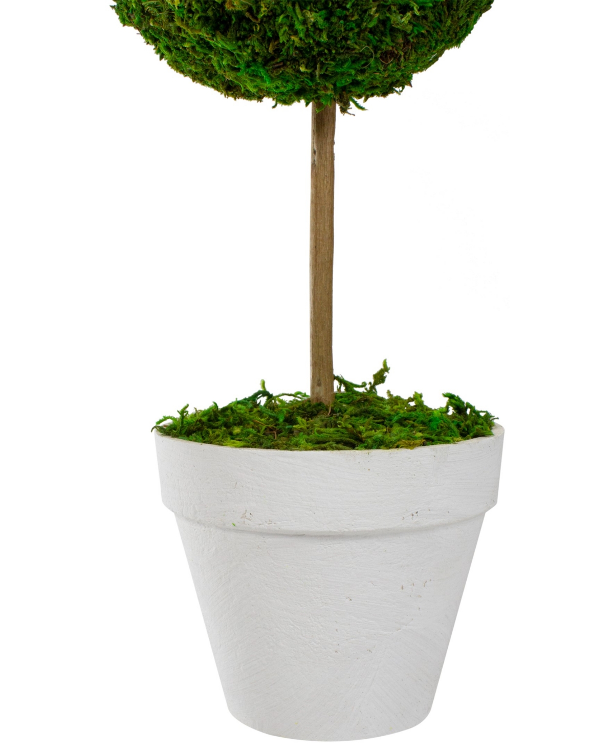 Shop Northlight 16" Reindeer Moss Ball Potted Artificial Spring Topiary Tree In Green