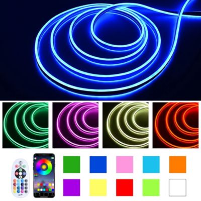 100FT/30m RGB LED Strip Neon Rope Lights with APP & Remote Control, IP65 AC 110V Waterproof Music Sync Flexible Dimmable Cuttable SMD3535 LED Light DIY for Bar Commercial Decoration DEL-D100R