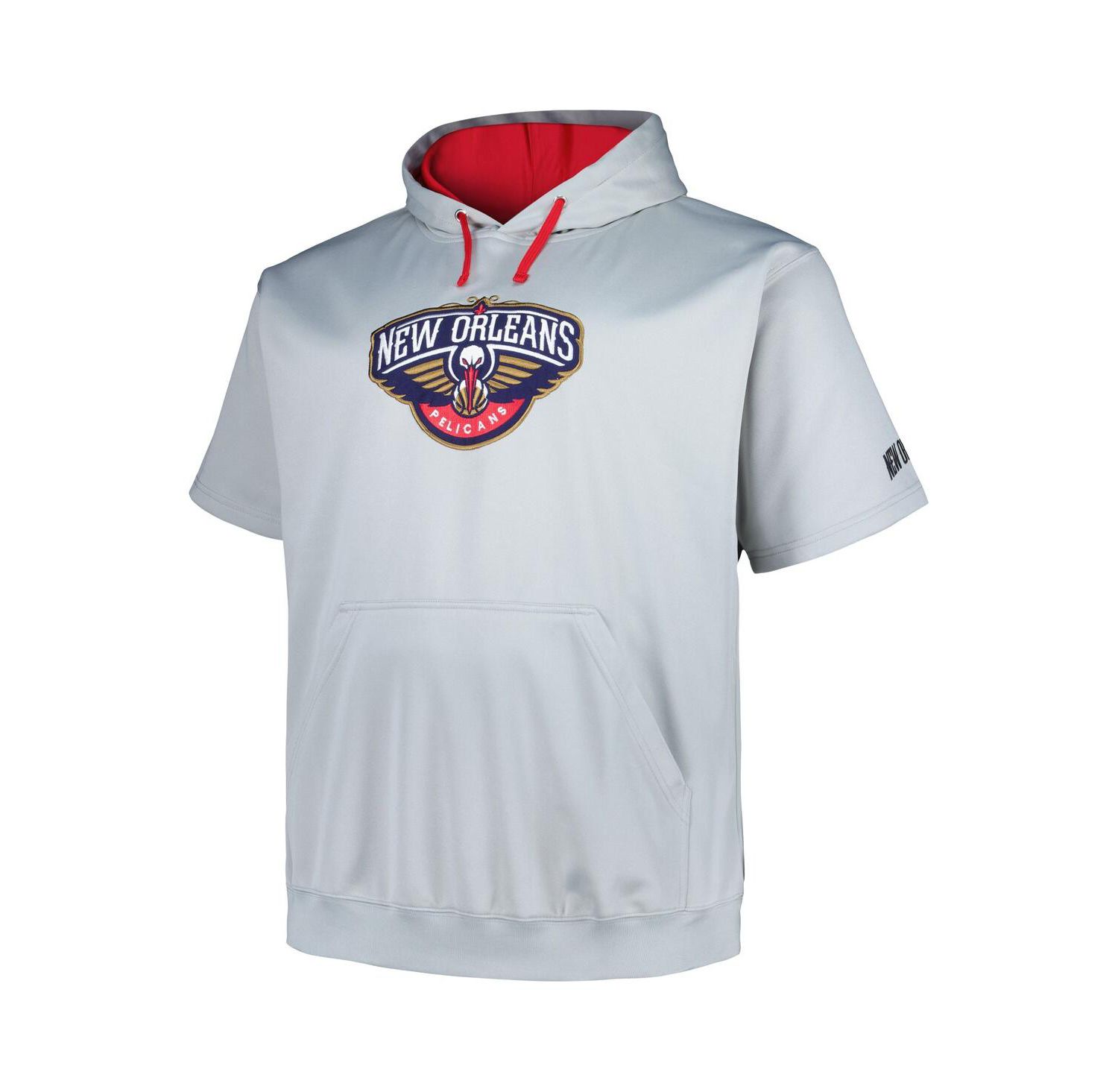 Men's Silver New Orleans Pelicans Big and Tall Logo Pullover Hoodie