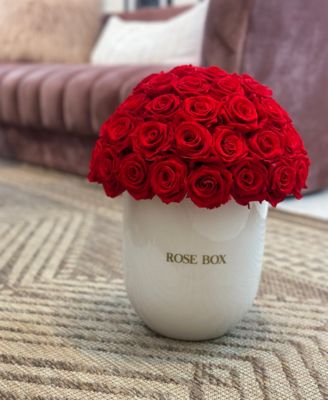 Half Ball of Red Flame Long Lasting Preserved Real Roses in Premium Ceramic Vase, 50-55 Roses