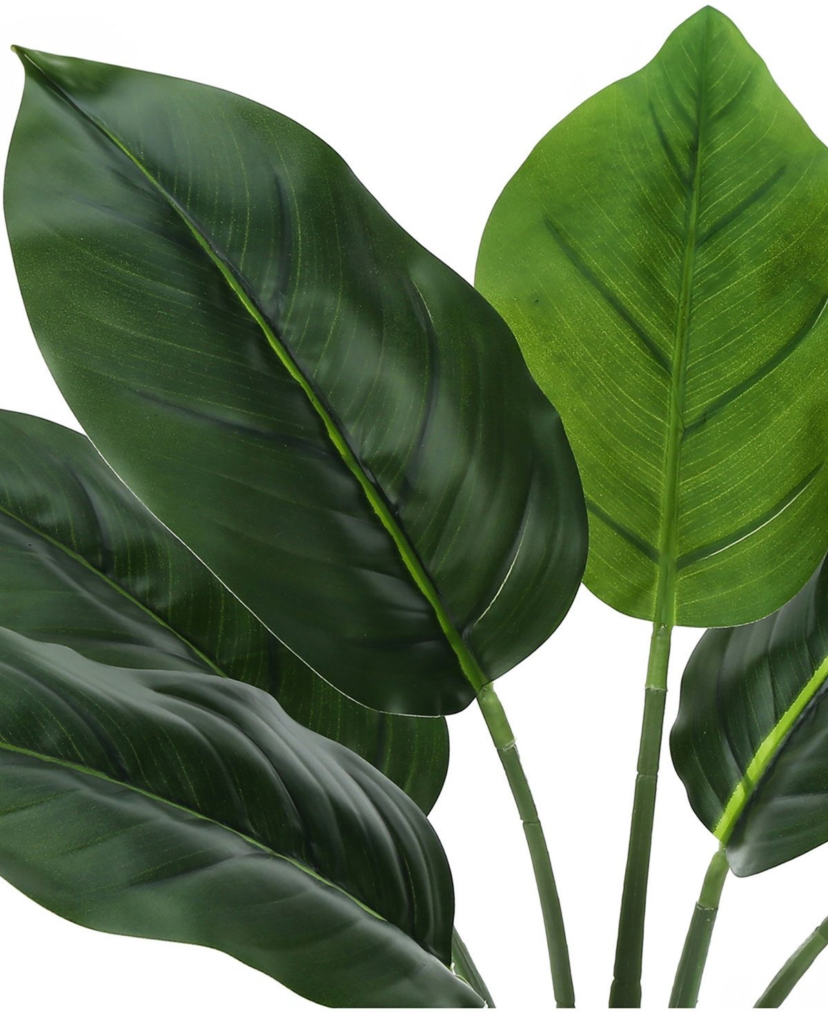 Monarch Specialties 17" Indoor Artificial Aureum Plant With Decorative White Pot In Green