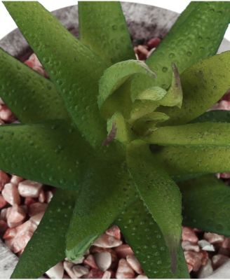 6" Indoor Artificial Succulent Plants with Decorative Grey Cement Pots, Set Of 2