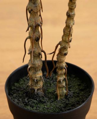 2ft. Artificial Dracaena Marginata Plant