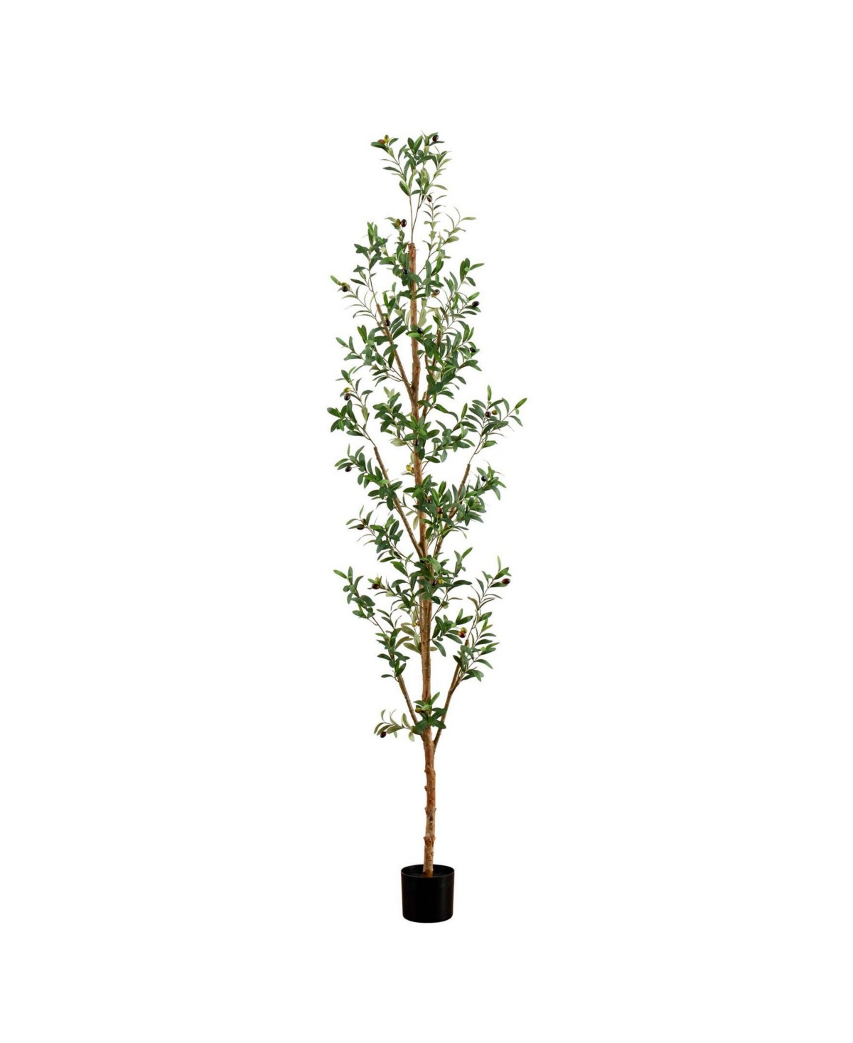 8ft. Artificial Olive Tree with Natural Trunk - Green