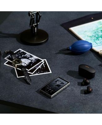 NW-A306 Walkman A Series Hi-Res Digital Music Player