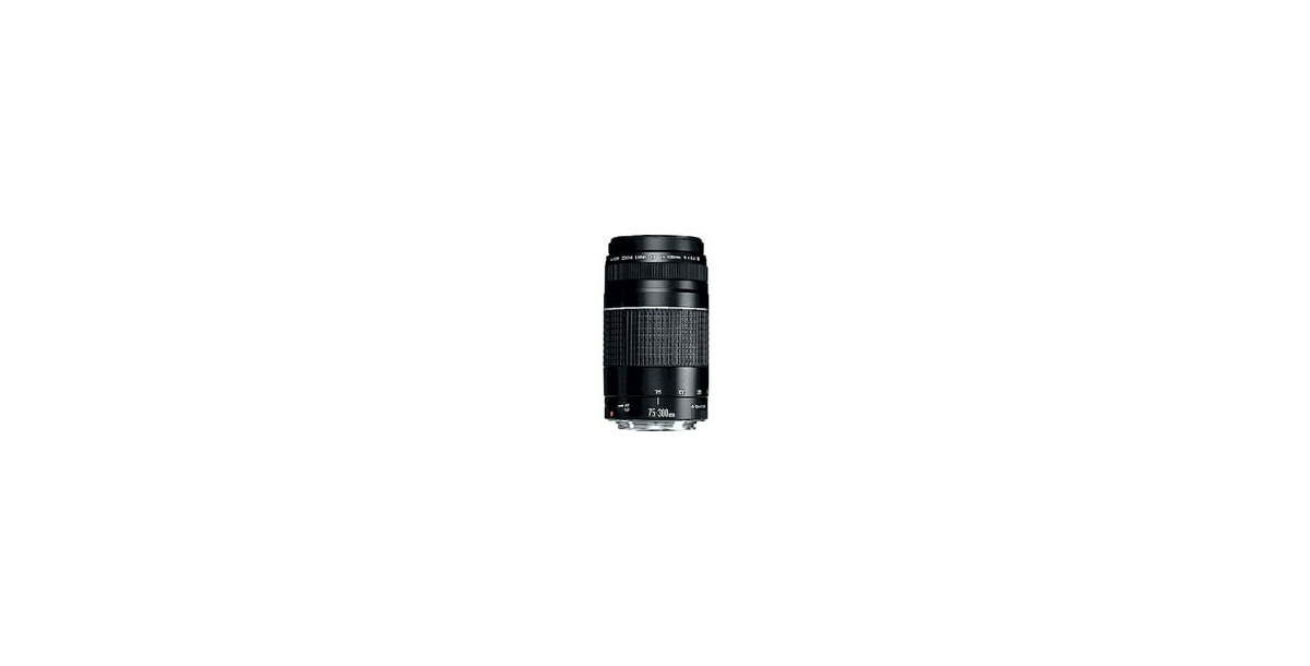 Canon Ef 75-300mm f/4-5.6 Iii Telephoto Zoom Lens
