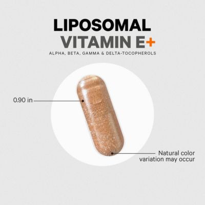 Liposomal Vitamin E Supplement - All Vitamin E Tocopherols Alpha Tocopherols, Beta, Gamma, and Delta - Liposomal Mixed Tocopherols 90 Capsules