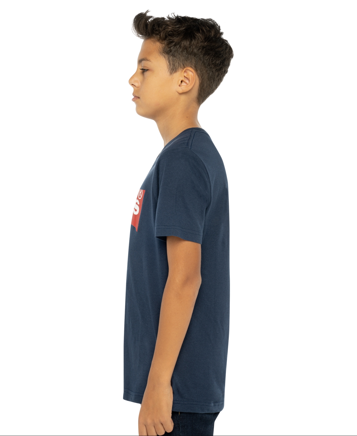 Levi's Big Boys Batwing Logo Crewneck Jersey T-shirt