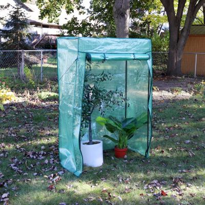 Outdoor Deluxe Portable Large Potted Plant and Starter Tomato Plant Greenhouse with Roll-Up Door - Green
